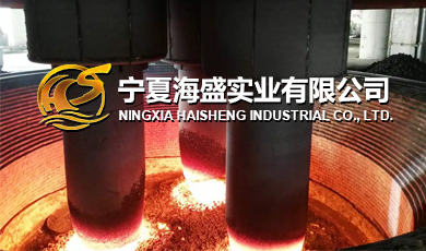 寧夏海盛實業(yè)有限公司